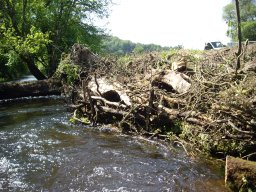 travaux renforcement berge 3